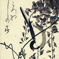 藤に四十雀