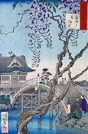 武蔵百景之内　亀井戸天満宮