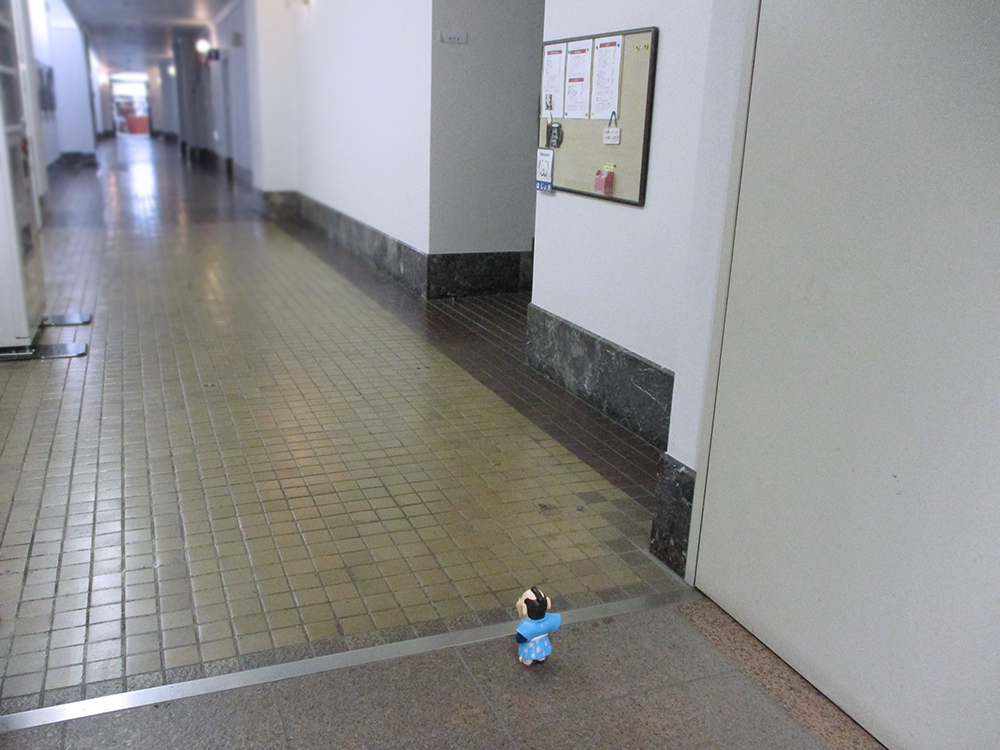 新旧館の境目（内側）